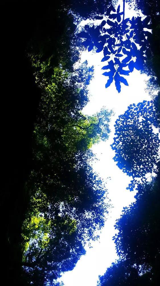 狂野的飙客